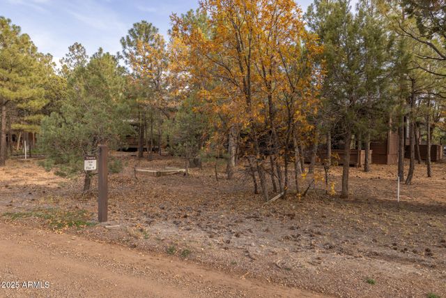 4240 W SUGAR PINE Loop, Show Low, AZ 85901