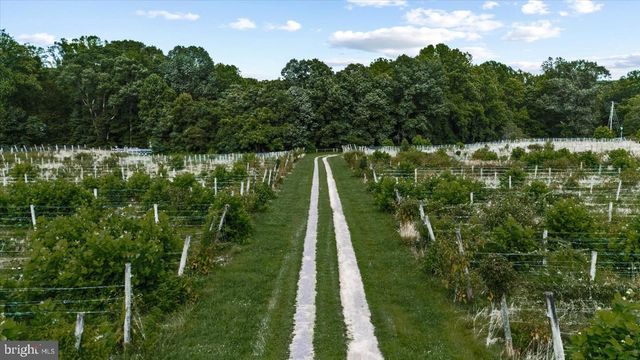 8215 OAK CREST DR, King George, VA 22485