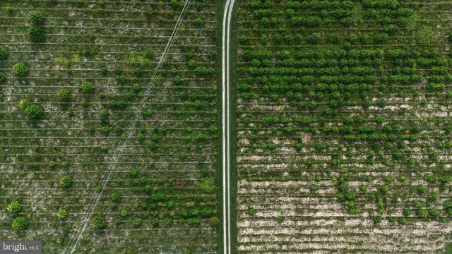 8215 OAK CREST DR, King George, VA 22485