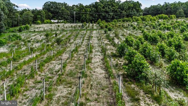 8215 OAK CREST DR, King George, VA 22485