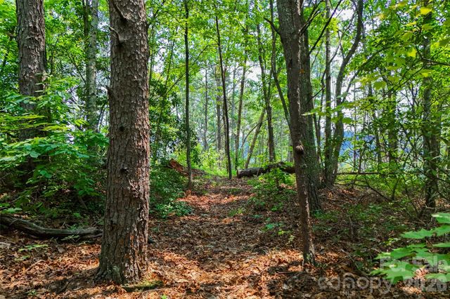 3815 Bat Cave Road, Old Fort, NC 28762