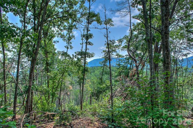 3815 Bat Cave Road, Old Fort, NC 28762