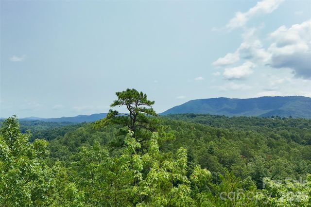 3815 Bat Cave Road, Old Fort, NC 28762