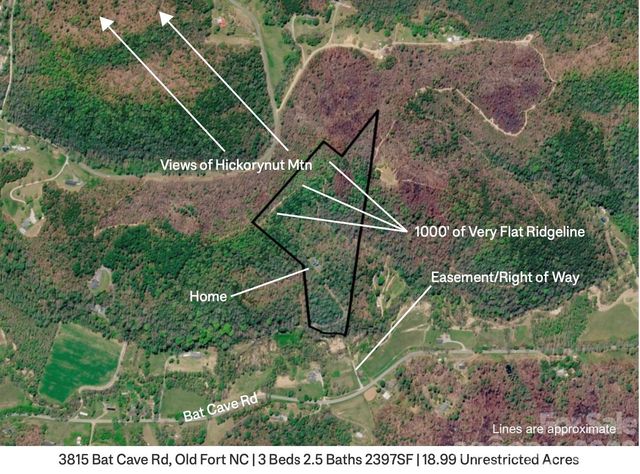 3815 Bat Cave Road, Old Fort, NC 28762
