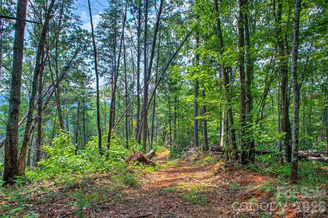 3815 Bat Cave Road, Old Fort, NC 28762