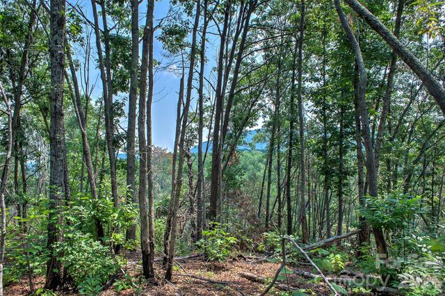 3815 Bat Cave Road, Old Fort, NC 28762