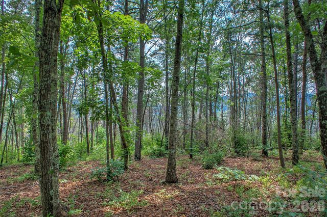 3815 Bat Cave Road, Old Fort, NC 28762