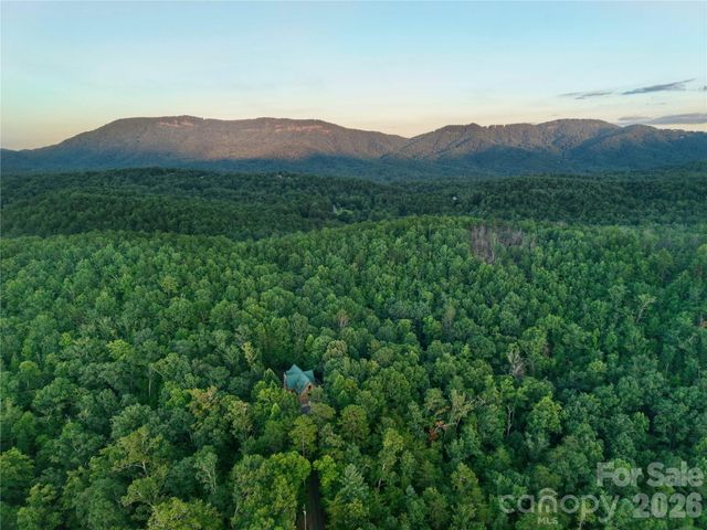 3815 Bat Cave Road, Old Fort, NC 28762