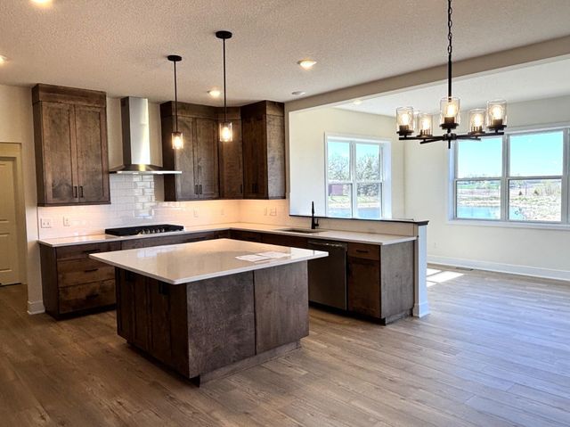 2026 Tamarack Road, Carver, MN 55315