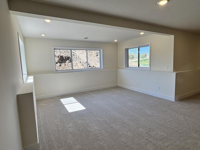 2026 Tamarack Road, Carver, MN 55315