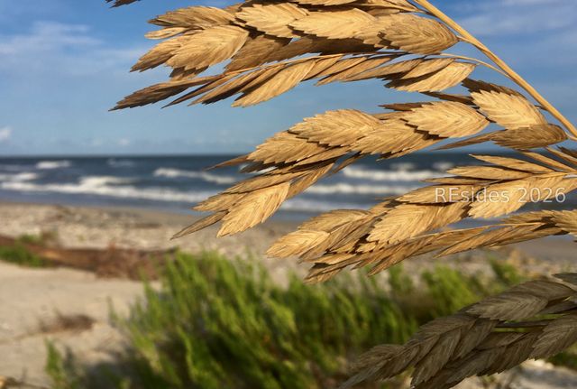 5 Cedar Point Dr, Ladys Island, SC 29907