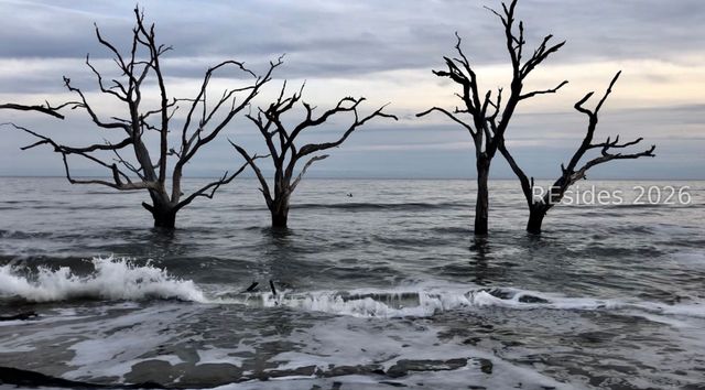 5 Cedar Point Dr, Ladys Island, SC 29907