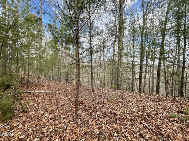 79 Whetstone Road, Sevierville, TN 37862