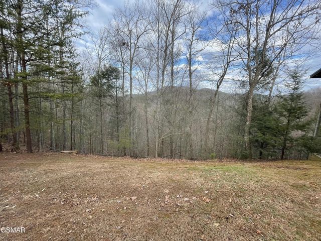 79 Whetstone Road, Sevierville, TN 37862