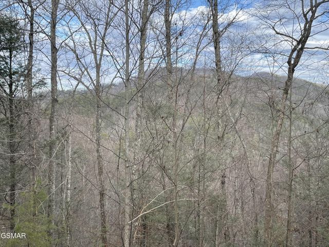 79 Whetstone Road, Sevierville, TN 37862