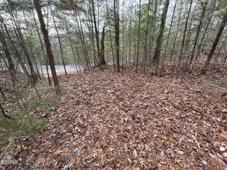 79 Whetstone Road, Sevierville, TN 37862