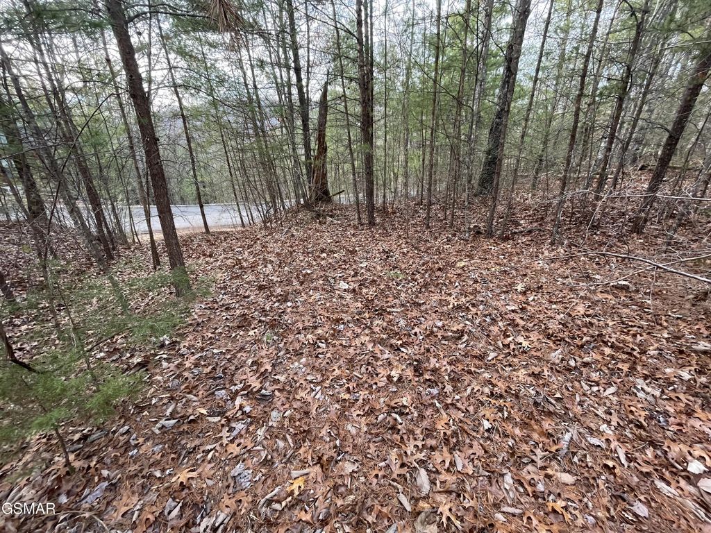 79 Whetstone Road, Sevierville, TN 37862