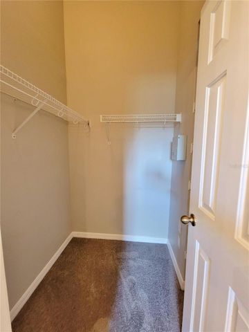 27822 PLEASURE RIDE LOOP, Wesley Chapel, FL 33544