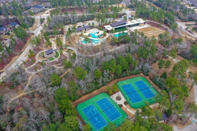 208 Twinflower Trail Court, Willis, TX 77318
