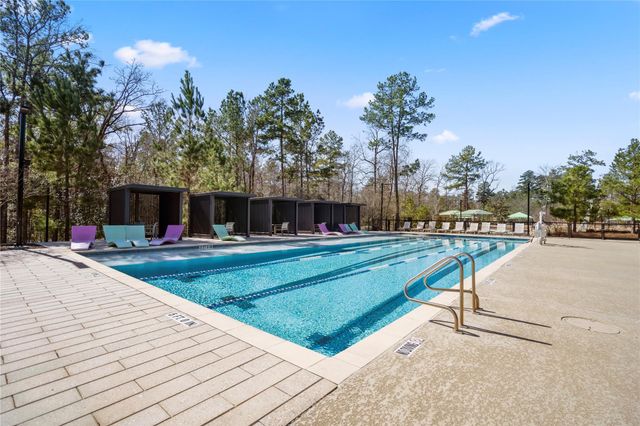 208 Twinflower Trail Court, Willis, TX 77318