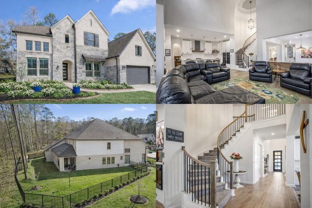 208 Twinflower Trail Court, Willis, TX 77318