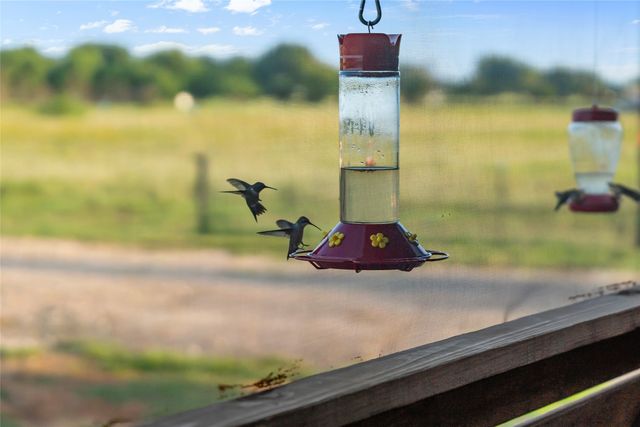 11757 County Road 2429, Kemp, TX 75143