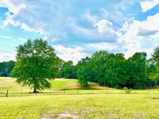 00 Beach Rd., Purvis, MS 39475