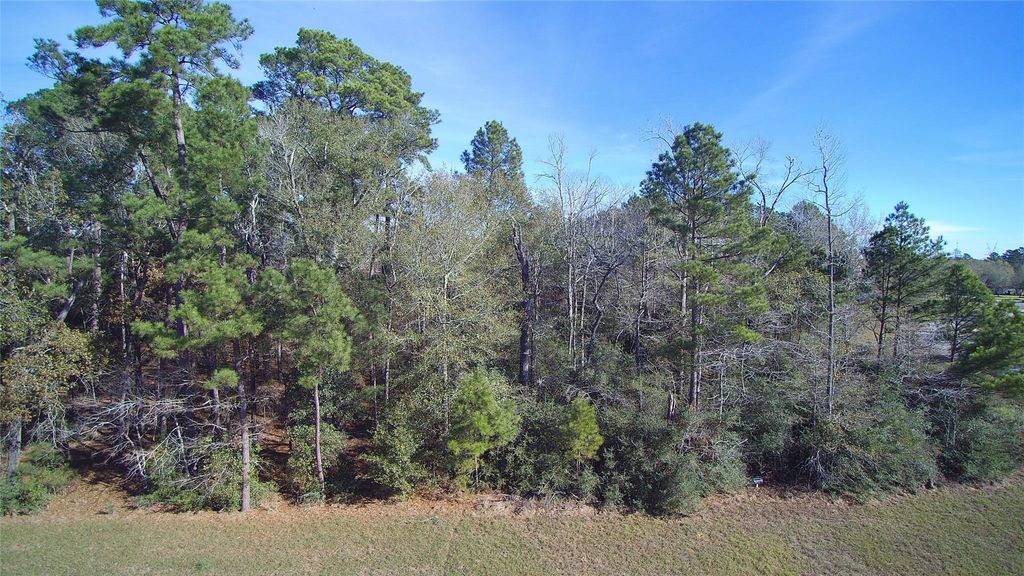 23481 Cannondale Loop, Montgomery, TX 77316