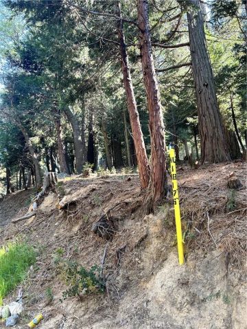 0 Forest Vw, Arrowhead, Twin Peaks, CA 92391