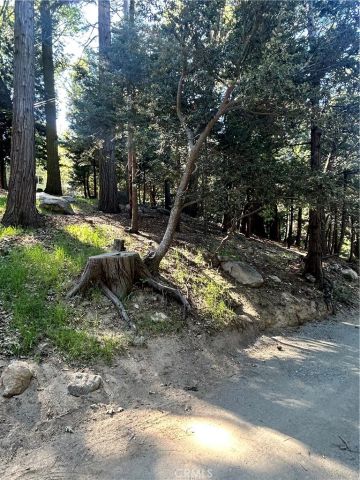 0 Forest Vw, Arrowhead, Twin Peaks, CA 92391
