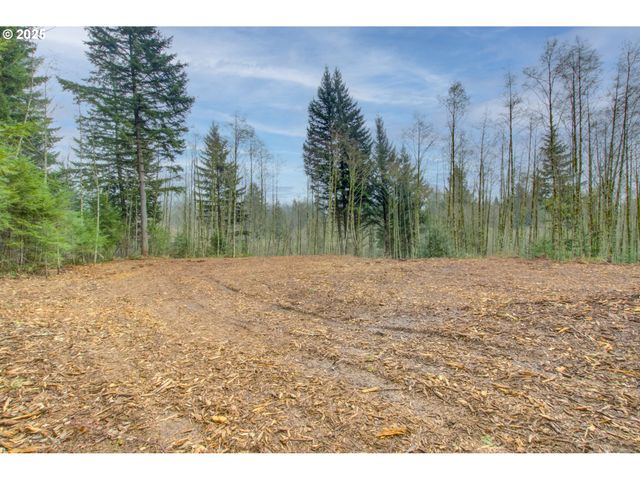 Ne Hancock Rd, Camas, WA 98607