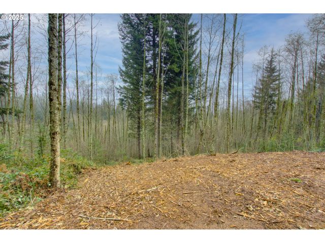 Ne Hancock Rd, Camas, WA 98607