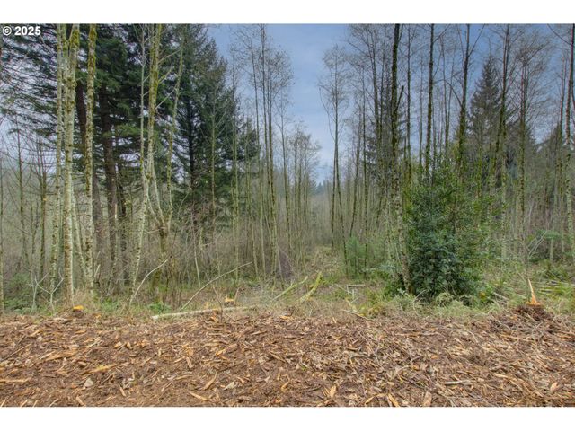 Ne Hancock Rd, Camas, WA 98607