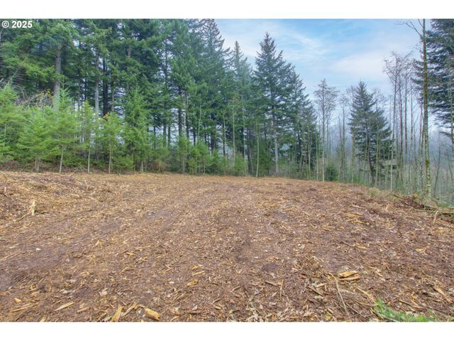 Ne Hancock Rd, Camas, WA 98607