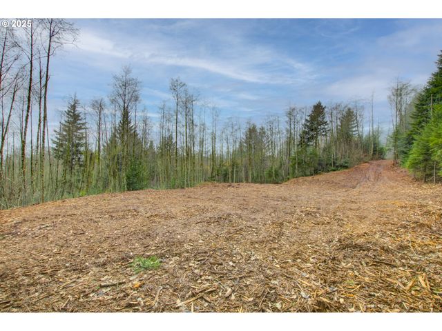 Ne Hancock Rd, Camas, WA 98607