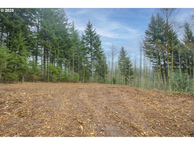 Ne Hancock Rd, Camas, WA 98607