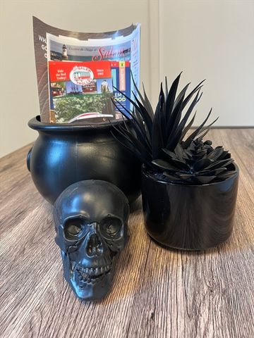 24 Norman 110, Salem, MA 01970