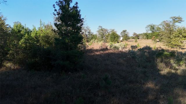 3711 Felix Currie Road, Point Blank, TX 77364