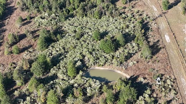 3711 Felix Currie Road, Point Blank, TX 77364