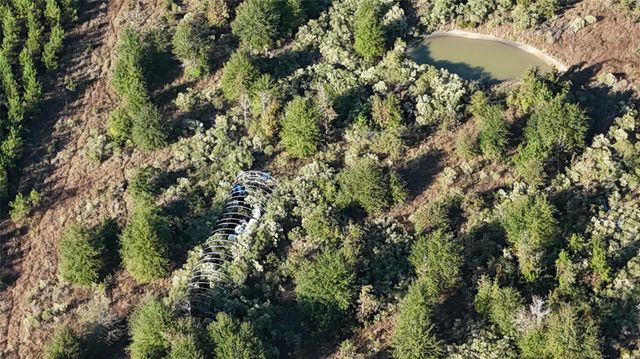 3711 Felix Currie Road, Point Blank, TX 77364