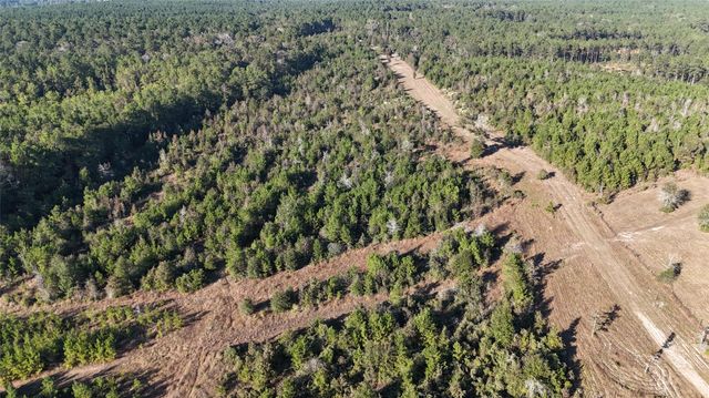 3711 Felix Currie Road, Point Blank, TX 77364