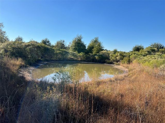 3711 Felix Currie Road, Point Blank, TX 77364