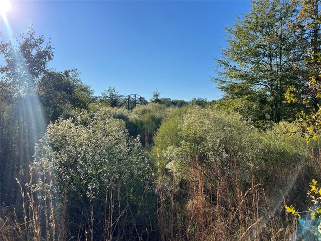 3711 Felix Currie Road, Point Blank, TX 77364