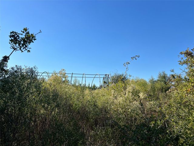 3711 Felix Currie Road, Point Blank, TX 77364