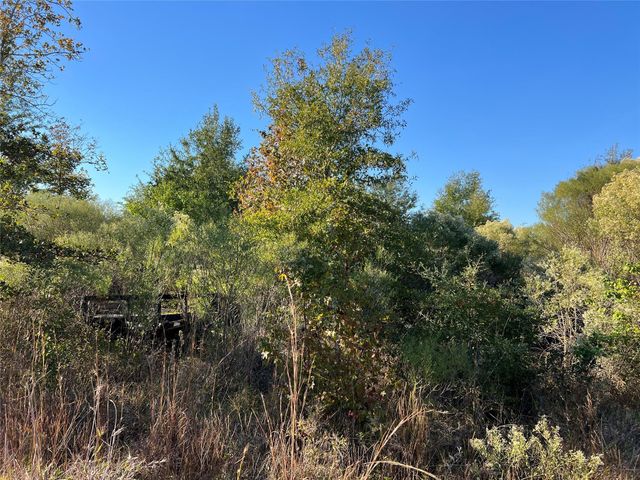 3711 Felix Currie Road, Point Blank, TX 77364