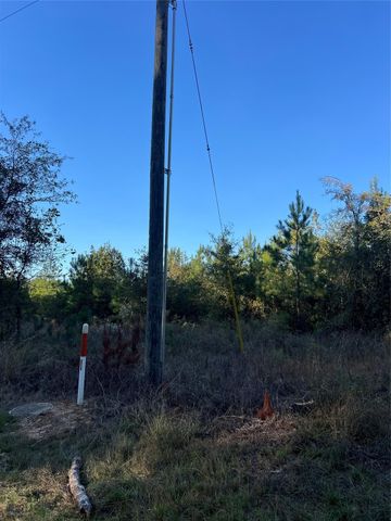 3711 Felix Currie Road, Point Blank, TX 77364