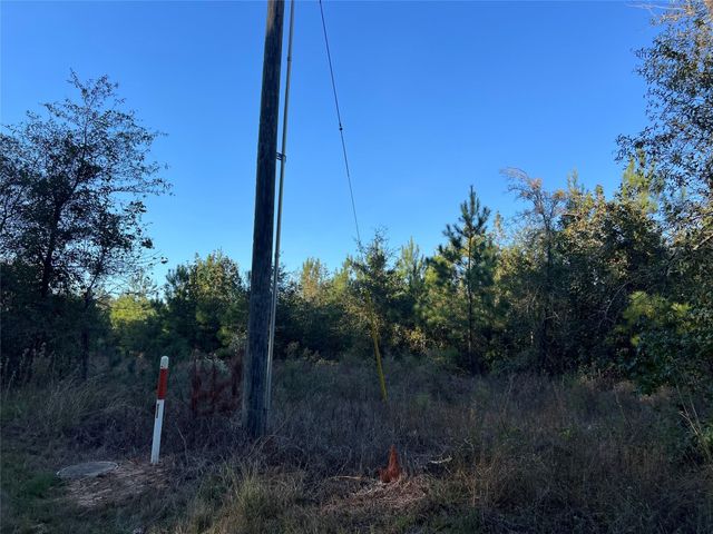 3711 Felix Currie Road, Point Blank, TX 77364