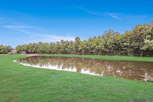 40413 Pocorello Dr, Gonzales, LA 70737