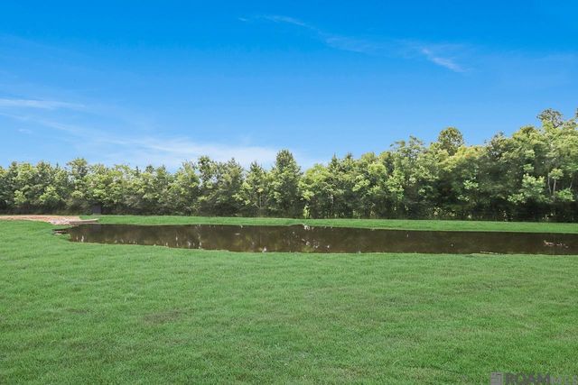 40413 Pocorello Dr, Gonzales, LA 70737