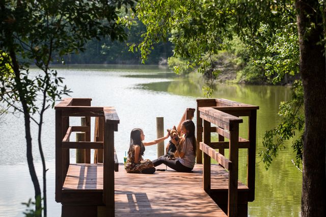 1019 Patagonia Street, Summerville, SC 29485